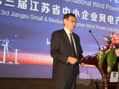 江蘇省經(jīng)濟(jì)和信息化委員會經(jīng)濟(jì)合作兼產(chǎn)業(yè)合作處處長裔大陸